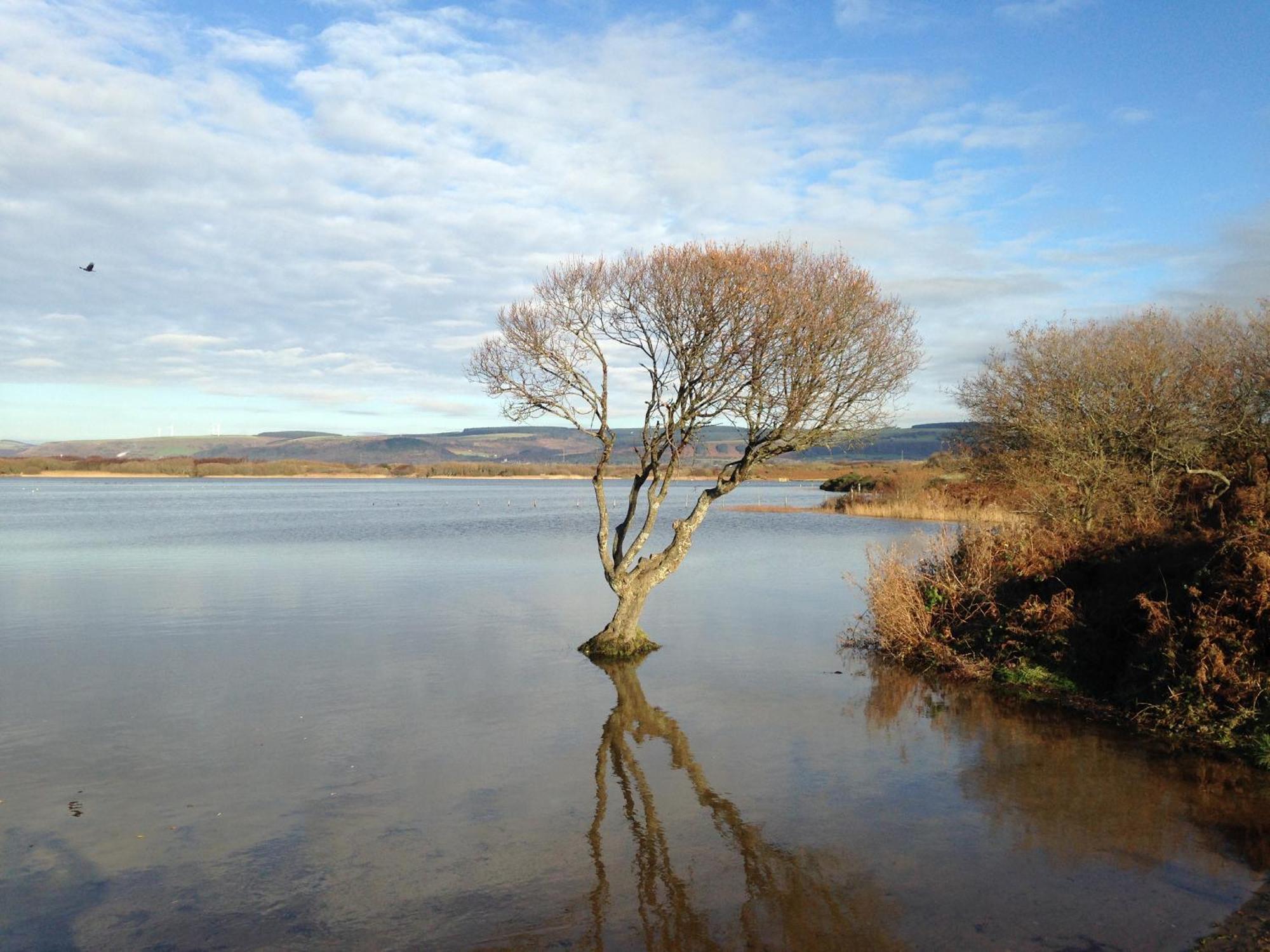 Willa Kenfig Farm Bridgend  Zewnętrze zdjęcie