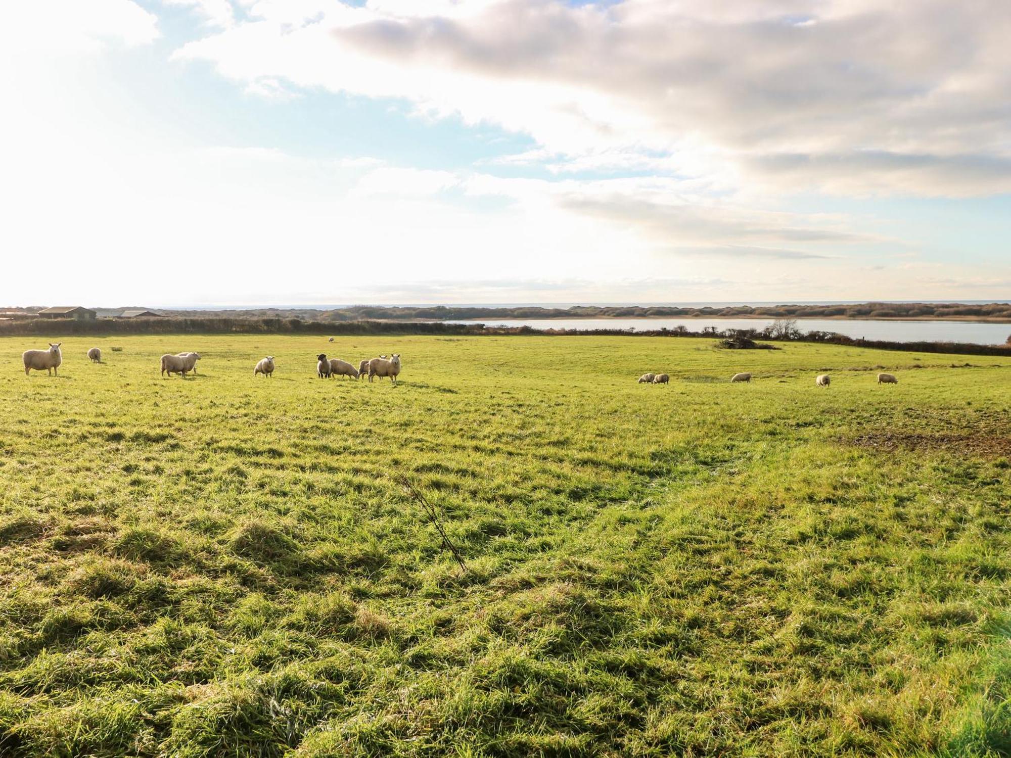 Willa Kenfig Farm Bridgend  Zewnętrze zdjęcie